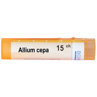 Allium cepa 15 ch