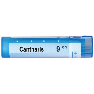 Cantharis 9 ch