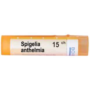 Spigelia anthelmia 15 ch