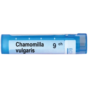 Chamomilla vulgaris 9 ch