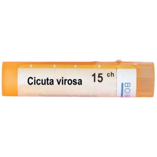 Cicuta virosa 15 ch