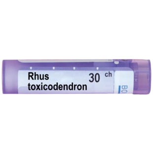 Rhus toxicodendron 30 ch