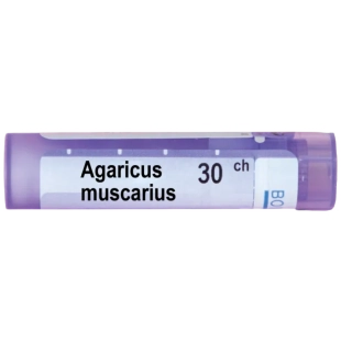 Agaricus muscarius 30 ch