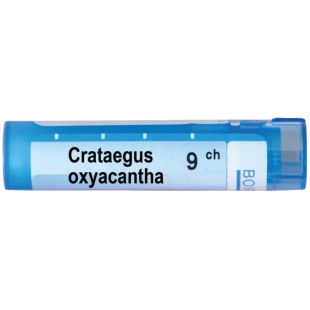 Crataegus oxyacantha 9 ch