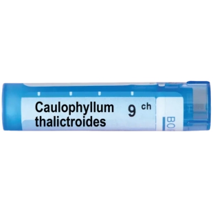 Caulophyllum thalictroides 9