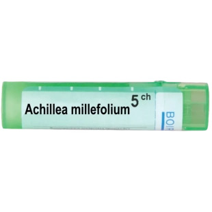 Achillea millefolium 5 ch