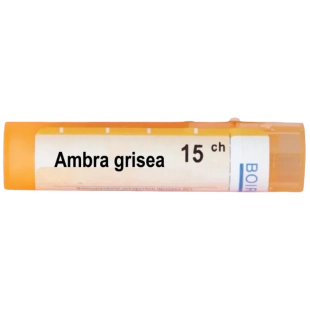 Ambra grisea 15 ch