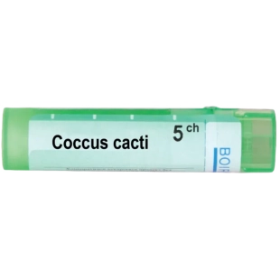 Coccus cacti 5 ch