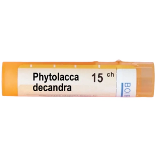 Phytolacca decandra 15 ch