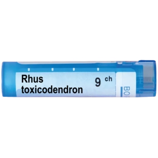 Rhus toxicodendron 9 ch
