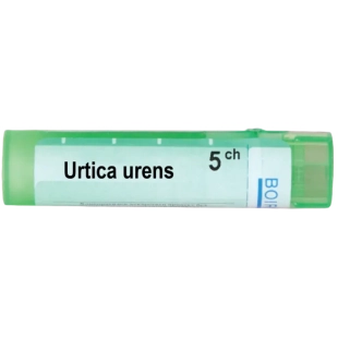 Urtica urens 5 ch