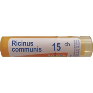 Ricinus communis 15 ch