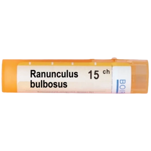 Ranunculus bulbosus 15 ch