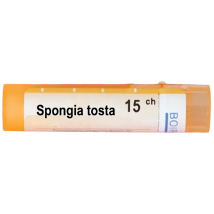 Spongia tosta 15 ch
