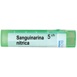 Sanguinaria nitrica 5 ch
