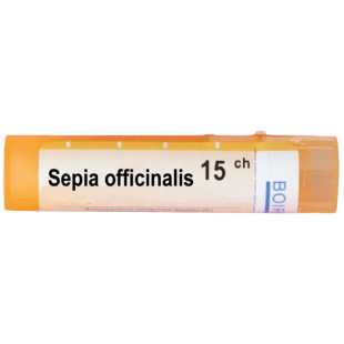 Sepia officinalis 15 ch