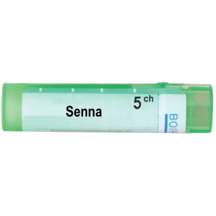 Senna 5 ch