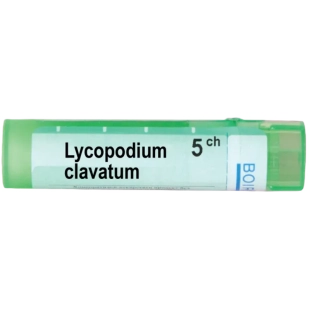 Lycopodium clavatum 5 ch