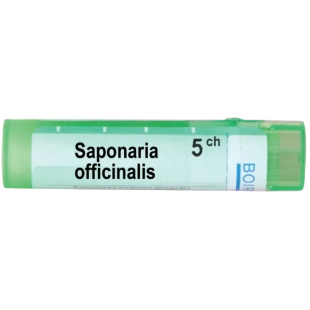 Saponaria officinalis 5 ch