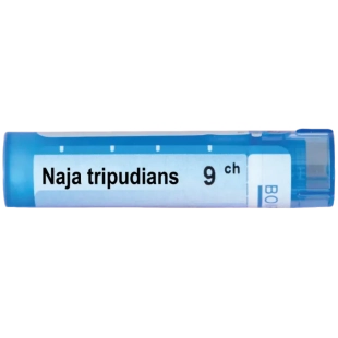 Naja tripudians 9 ch