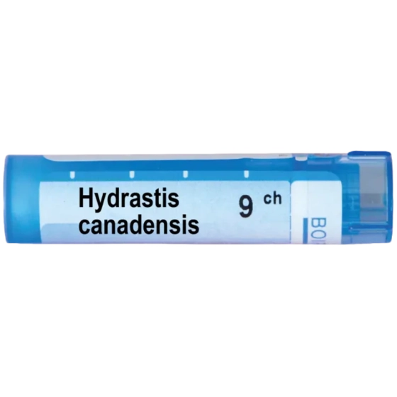 Hydrastis canadensis 9 ch