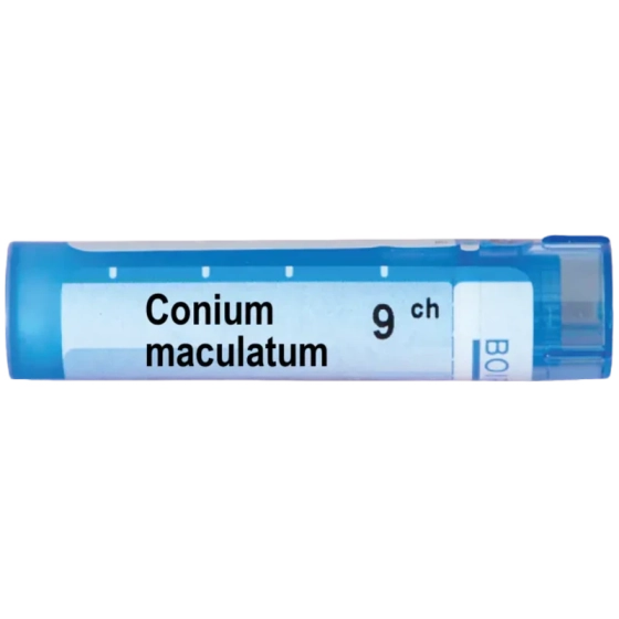 Conium maculatum 9 ch