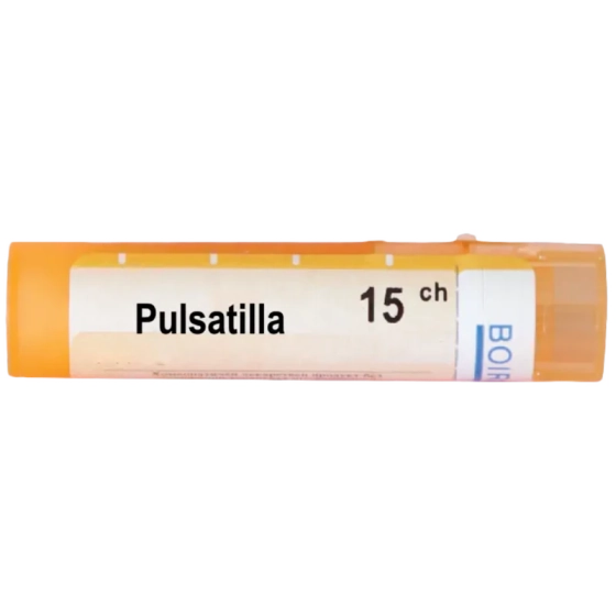 Pulsatilla 15 ch