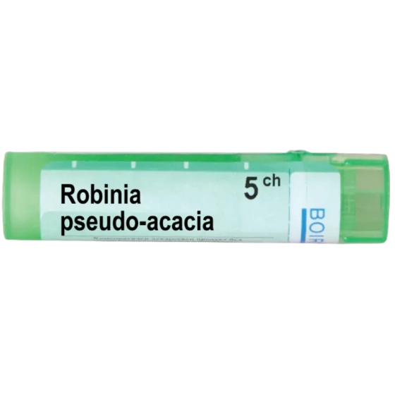 Robinia pseudo acacia 5 ch