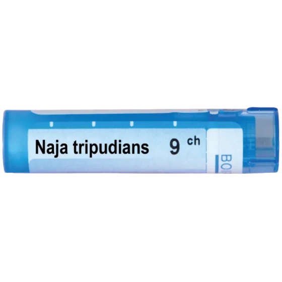 Naja tripudians 9 ch