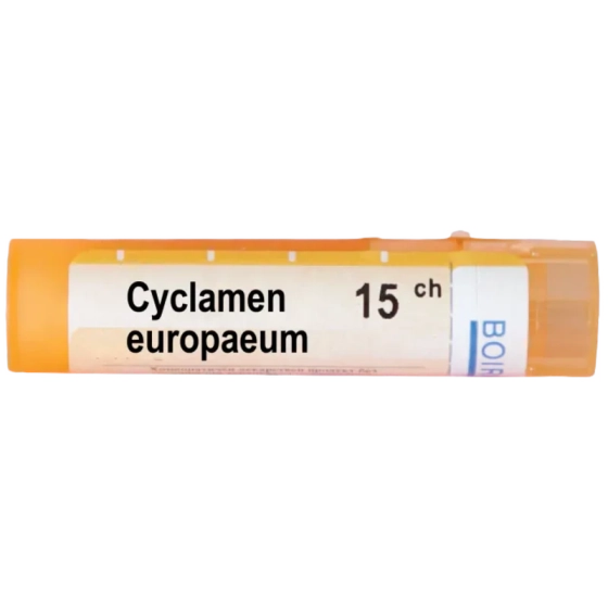 Cyclamen europeum 15 ch